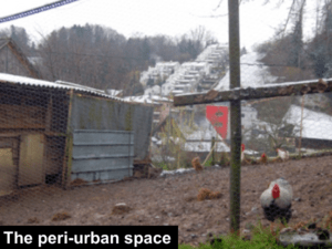 the peri urban space