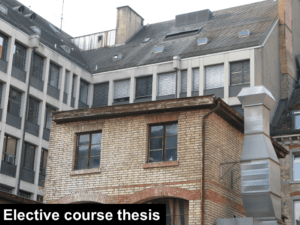 elective course thesis